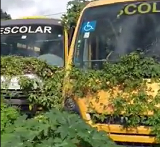 Video ônibus escolar abandonados pelo Governo